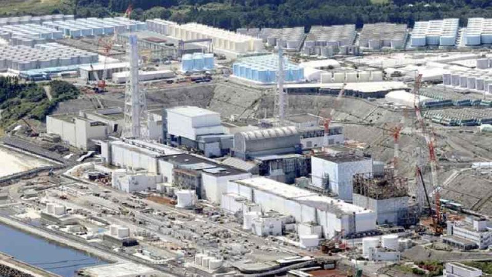 eiji-n-power-plant-20221110-OYT1I50106-1.jpg
