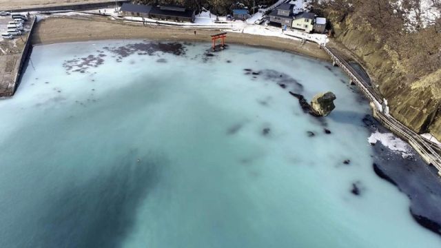 eiji-pacific-herrings-10562090.jpg