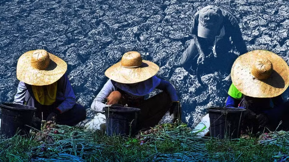 elnino-compositeimage-05may2026.jpg.avif