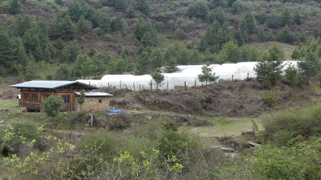 farm-7.jpg