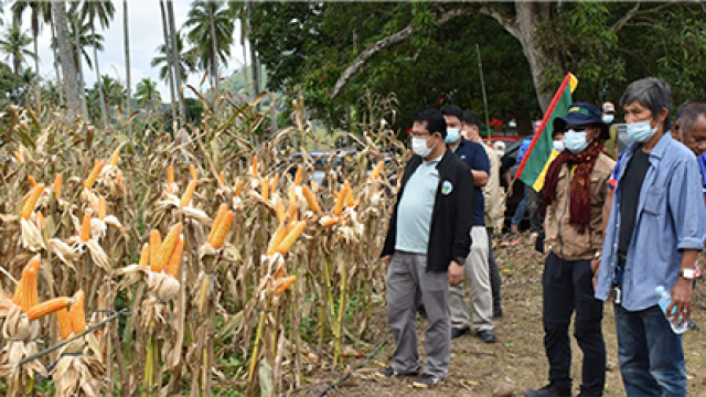 farm-in-datu-odin-sinsuat-maguindanao-del-norte-e1712070021969-2048x1000-1.png