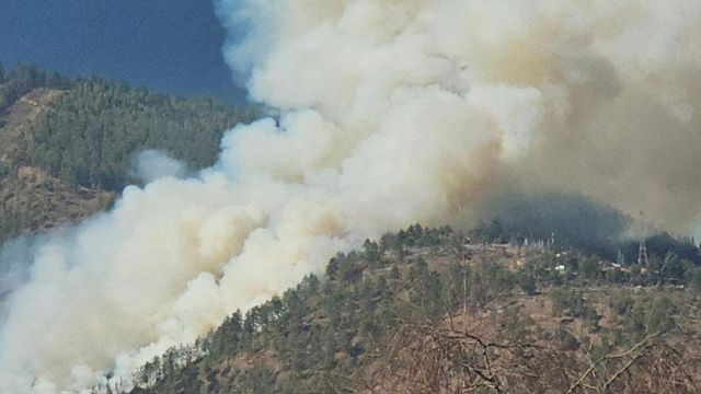 forestfire-1.jpg