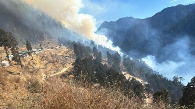 forestfire-7hwcvgumjgb9p9n1izfthg7ms49j5t5v5thbhrc0ri8-7jan84u4hdg2tllf1i7gues3bhlkoaop38f8p3e6wcg.jpg