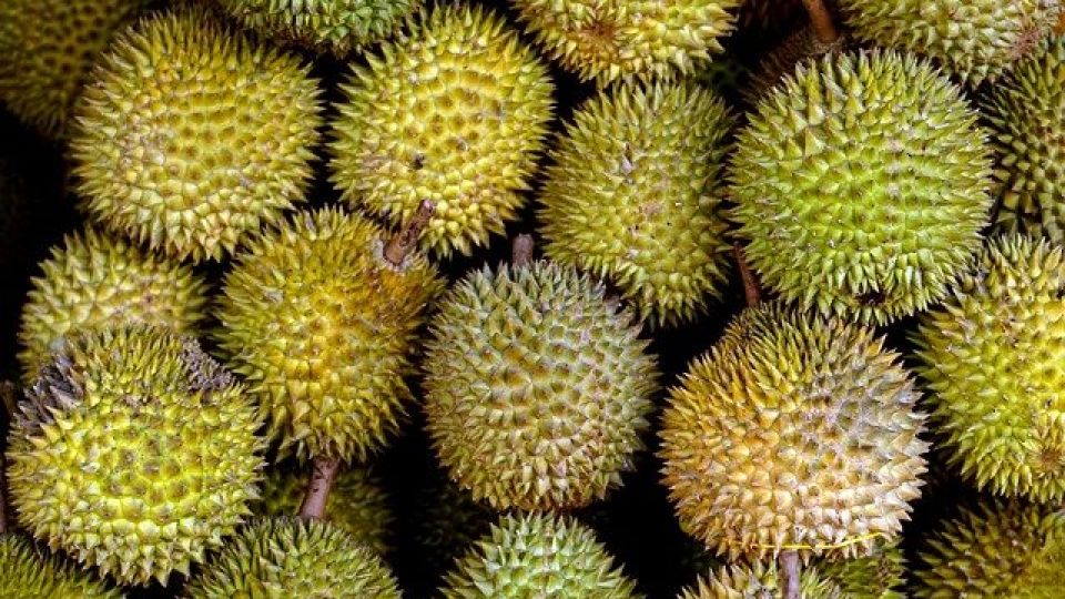 fruit-6541599_640.jpg