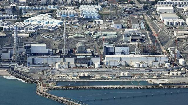 fukushima-P.jpg
