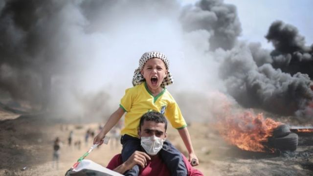 gaza-3829414_1280-7btbkhskcg0lzfafwvzqhfv49axubagnzm6re07mpts.jpg