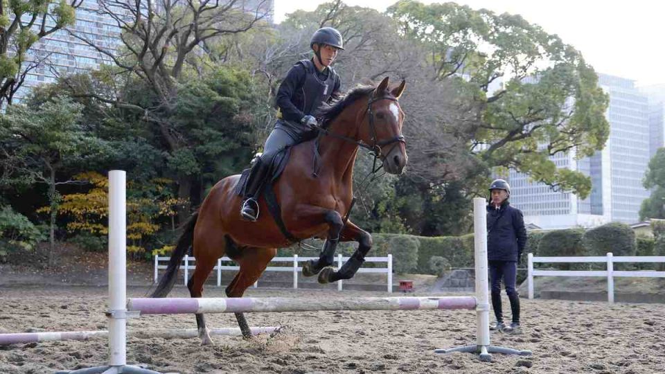 horses-1.jpg