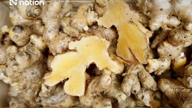 iBd7l9nOGKmY3BcAOm9g.webp