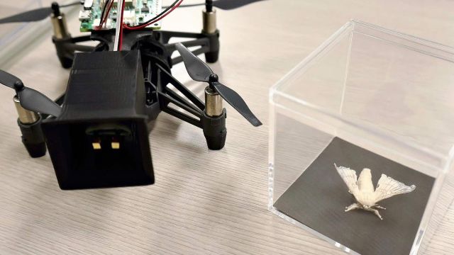 insects-drone-P2.jpg