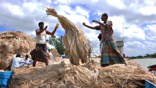 jute-5973747_960_720.jpg