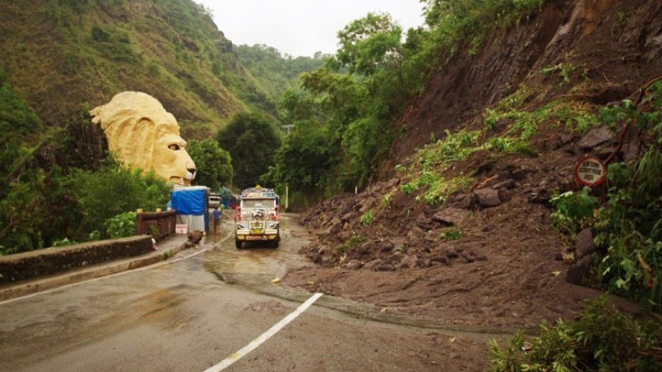 lions-head-filephoto-03062024.jpg