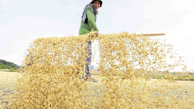 localbigas-768x492-1.jpg