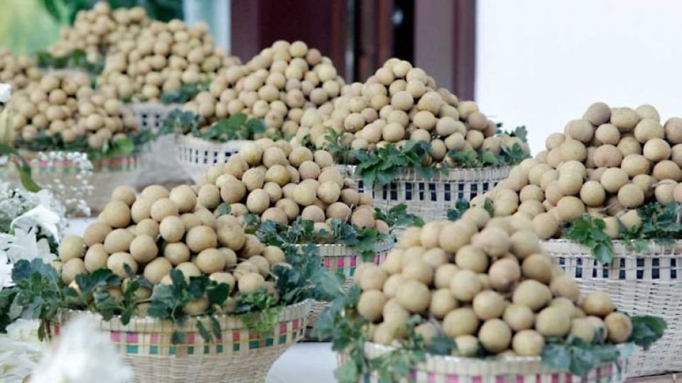 longan_on_october_27_became_the_third_cambodian_fruit_to_be_officially_exported_directly_to_china_in_fresh_form_after_bananas_and_mangoes._heng_chivoan.jpg