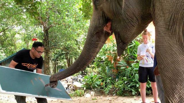 lucky_works_on_one_of_her_pieces_at_phnom_tamao_zoo._supplied.jpg