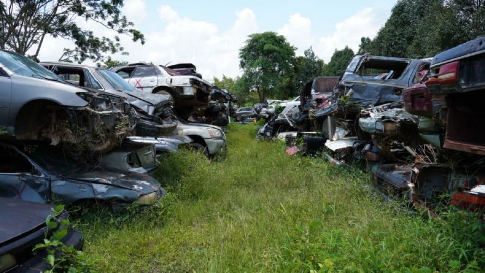 more-than-200-cars-vans-and-trucks-used-to-illegally-transport-timbers-had-been-confiscated-and-stockpiled.jpeg