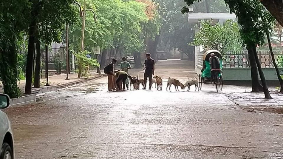 my-dhaka-kalu.jpg