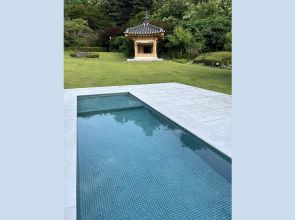 Luxury for pets? Shallow pool at South Korea’s presidential residence raises questions