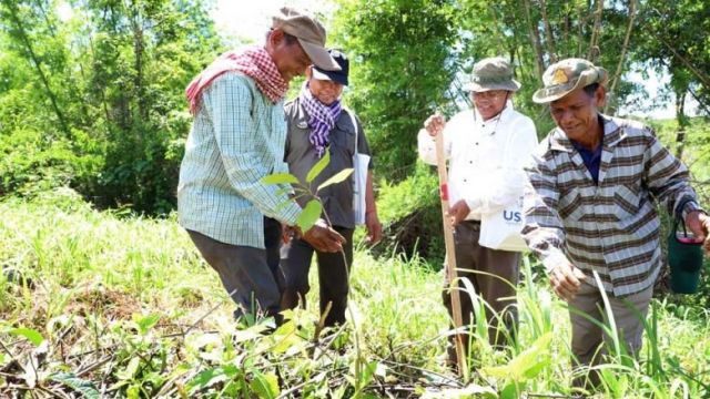 ngo_staff_plant_trees_at_the_keo_seima_wildlife_sanctuary_in_keo_seima_district_of_mondulkiri_province_on_june_19._seima_redd.jpg