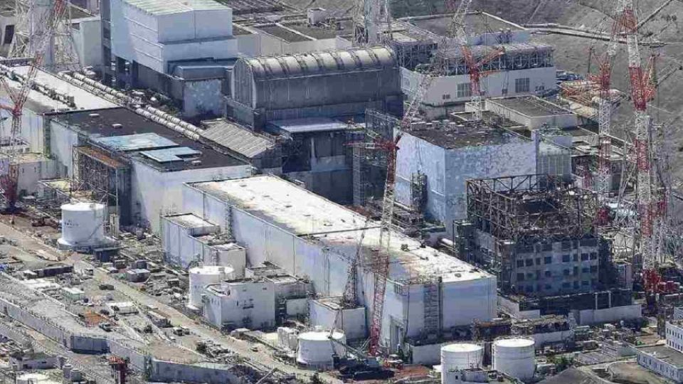 nuclear-survey-pic-1.jpg