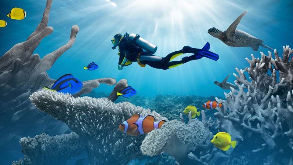 ocean-filephoto-04162024-1200x675-1.jpeg