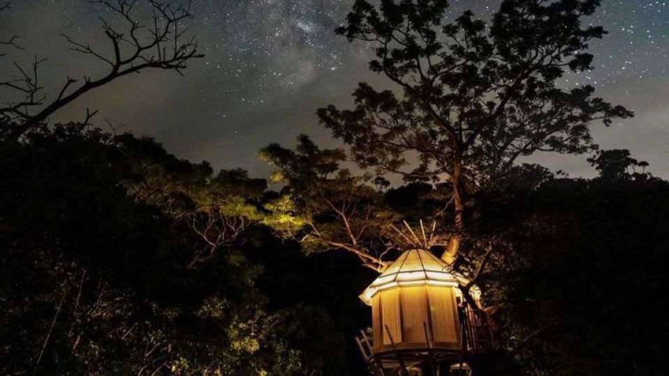one_of_the_treehouses_in_okinawa_japan._treeful_treehouse_sustainable_resort.jpg