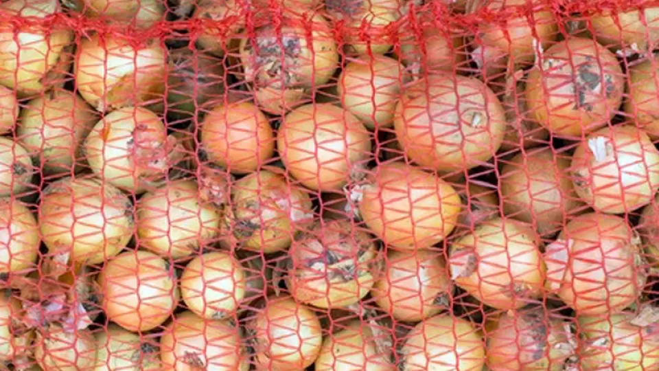 onions-0109.webp