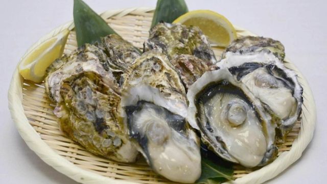 oyster.jpg