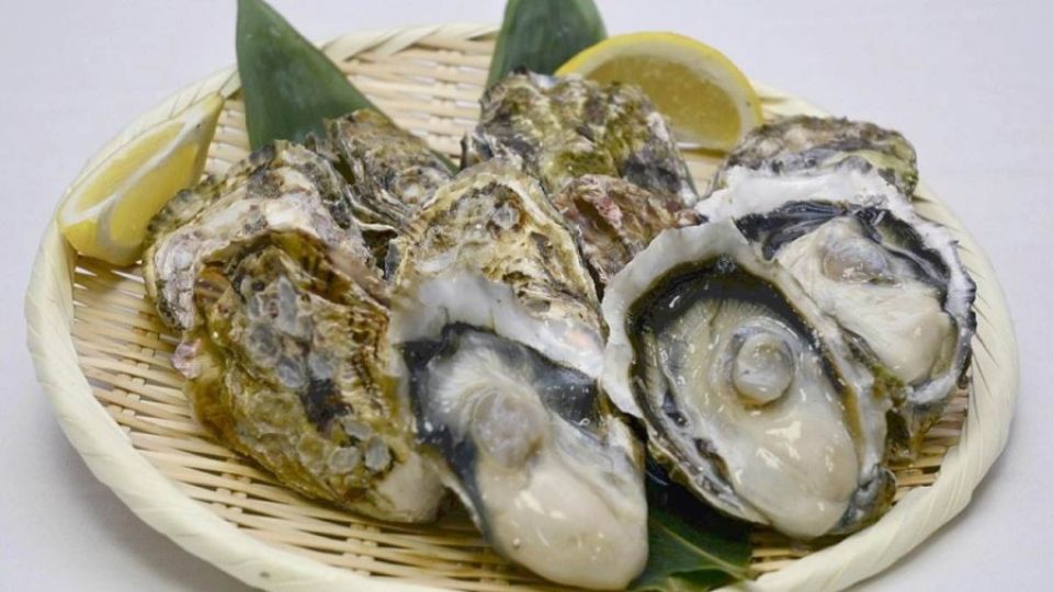 oyster.jpg