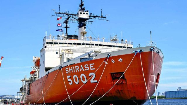 perspective-shirase-P3.jpg