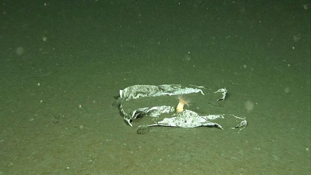 plastic-waste-1-1.jpg