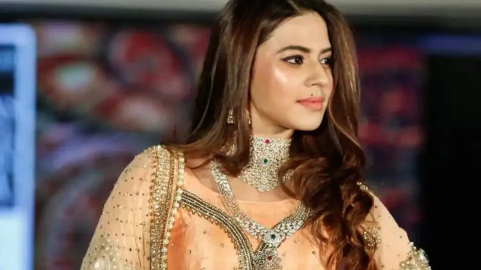 India’s Enforcement Directorate conducts raids across Karnataka in “starlet smuggling saga”