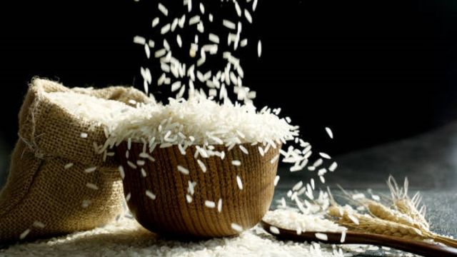 rice.jpeg