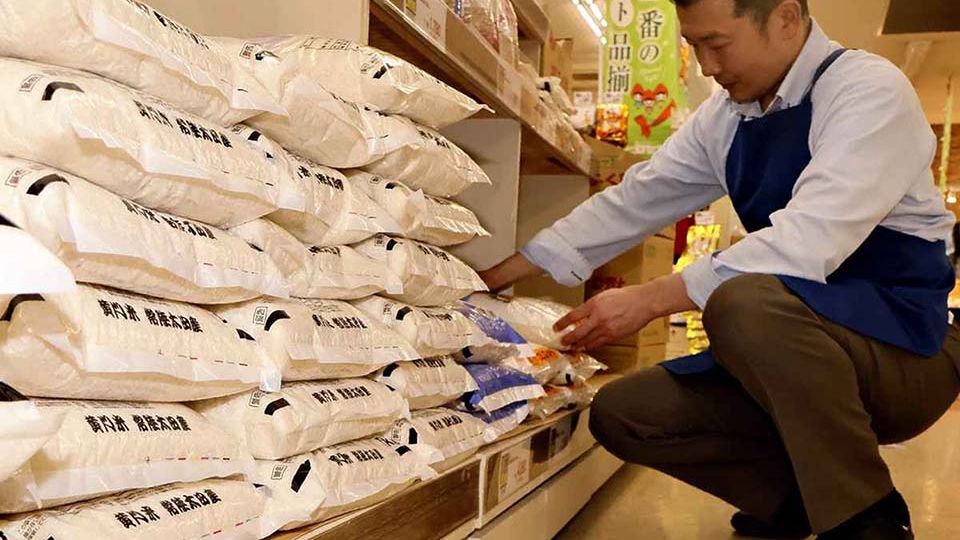 rice-P-WEB-OLY-4.jpg
