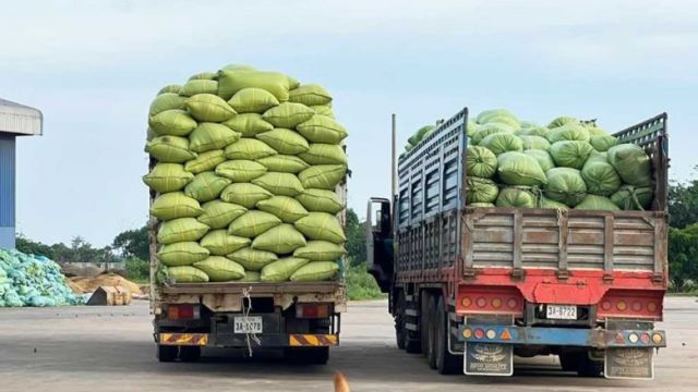 rice_bought_by_traders_in_prey_veng_province_on_september_10._experts_say_vietnam_is_purchasing_cambodian_rice_in_order_to_stockpile_it._supplied.jpg