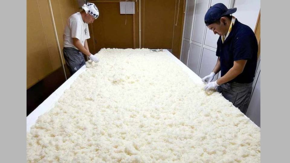 sake-brewing.jpg