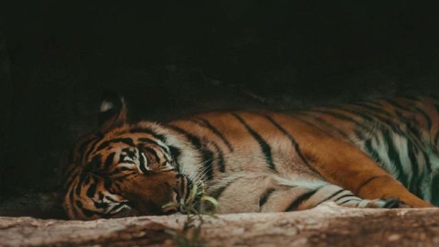 sam-vSZLXMwUGBg-unsplash.jpg
