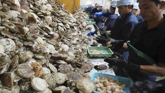 seafood1.jpg