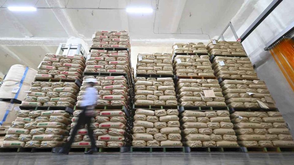 stockpiled-rice.jpg