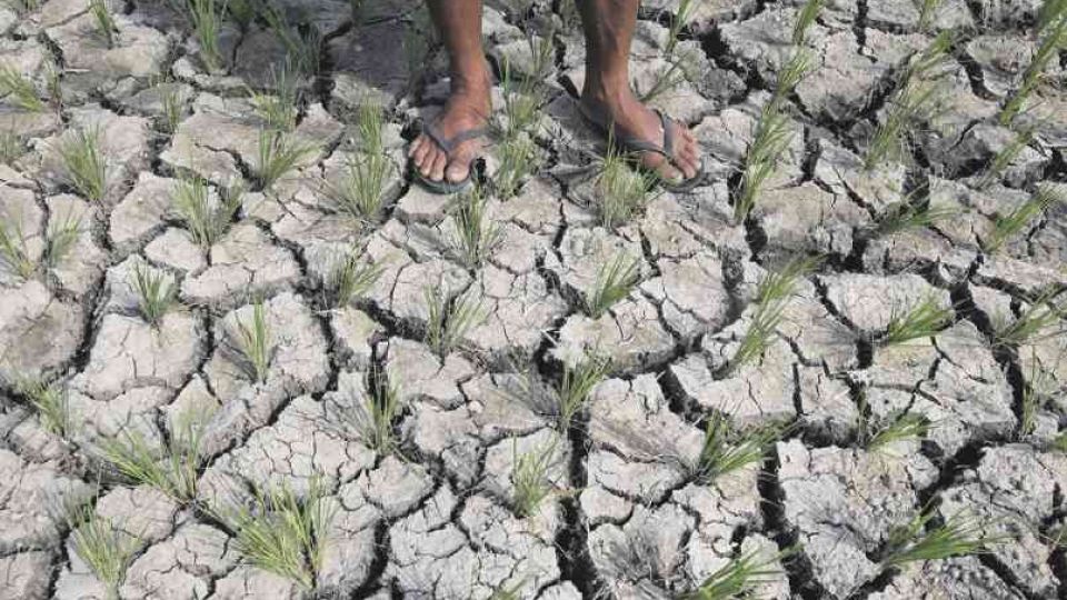 talisaydrought.jpg