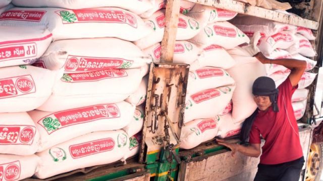 the-kingdom-exported-283675-tonnes-of-milled-rice-in-january-may-52.69-per-cent-of-which-went-to-china.jpg