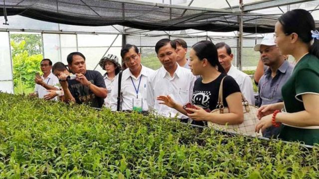 the_training_course_will_feature_advanced_knowledge_of_the_medicinal_qualities_of_various_plants_and_herbs._supplied.jpg