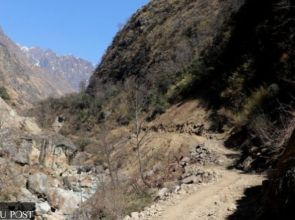 Nepal sends diplomatic notes to India, China over disputed Lipulekh route