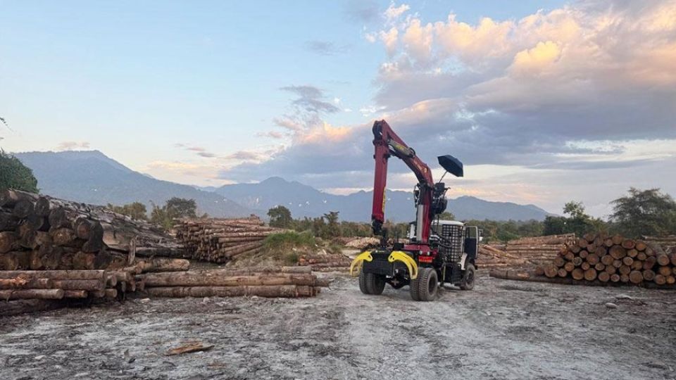 timber.jpg
