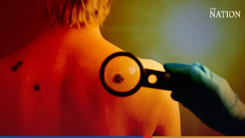 tkJQ2zMdOy2TzGKiPKe0.webp