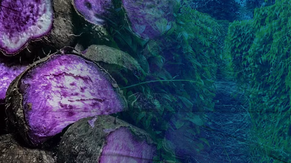ube-compositeimage-07may2026.jpg.avif