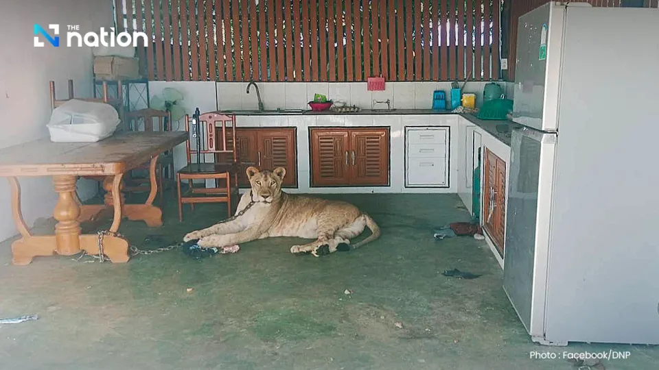 xHuIsLsdNfP1SJbCVHo9.webp